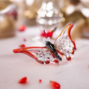 Photoroom_20240311_105641